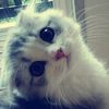 m4tcha_lovers00