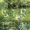 str43_official1