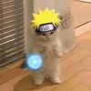 uzumaki_humairah