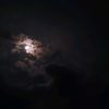 moonlight132.0