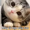 qu.hng.vn2