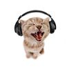 podcast.clips8672
