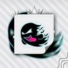 andir4684