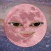 _.c1nt4