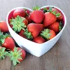 fruitsuniversity