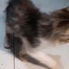krana_07_23