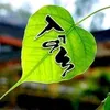 quangdoivaobuiram
