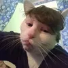 eveebababa