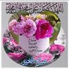 said.zaref
