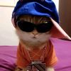 arry_ff
