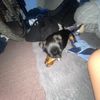 raff_loffler_mtb
