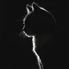 jay_jay.t