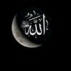 saad.ali3052