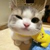 xyz_afni28