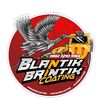 Blantik Brintik Coating