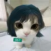 hello_hola1238287
