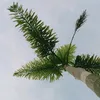 yourecos
