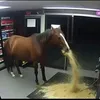 userclopmustafa