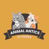 animal_antics7