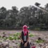 royalsarkar740