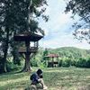 mieayampangsit06