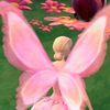 peridotpoppy8
