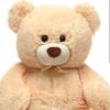 teddybear2000