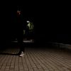 _stefan_23_lp