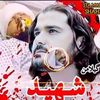 alihasaan502