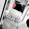 cesco.777