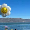 dgdjh6