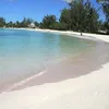 obvious360