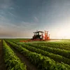 agriculture.farms8