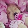 luvdoggos