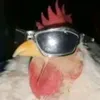 loreaccuratepigeon