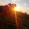 dmaisbeta