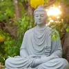 Con đi tới giác ngộ