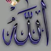 user2271830079767