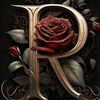 ammar81340