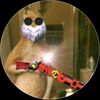 dino.cax.ml