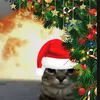 gatitodonatalgames