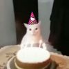 1khaled_kashmeree