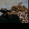 user9854161147065