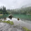Nature in Love