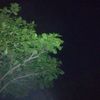 sxlxme4