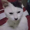 whohause5
