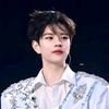 seungmin.puppym8