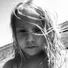 nevy.targ