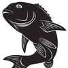 Videos de pesca