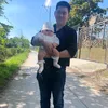 phuc.pham695
